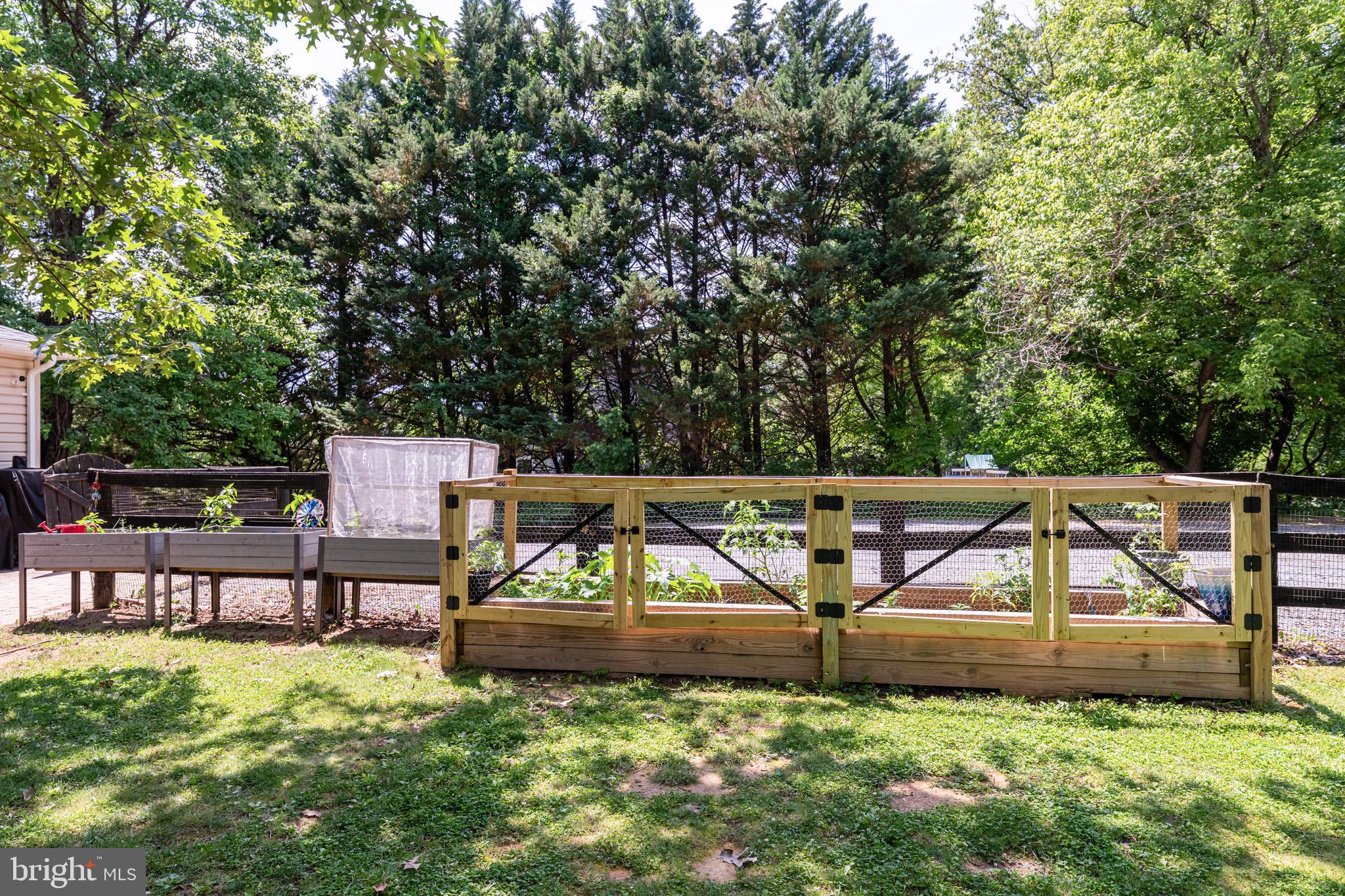 35094 Scotland Heights Road Round Hill, VA 20141 - Photo 29 of 41 Backyard