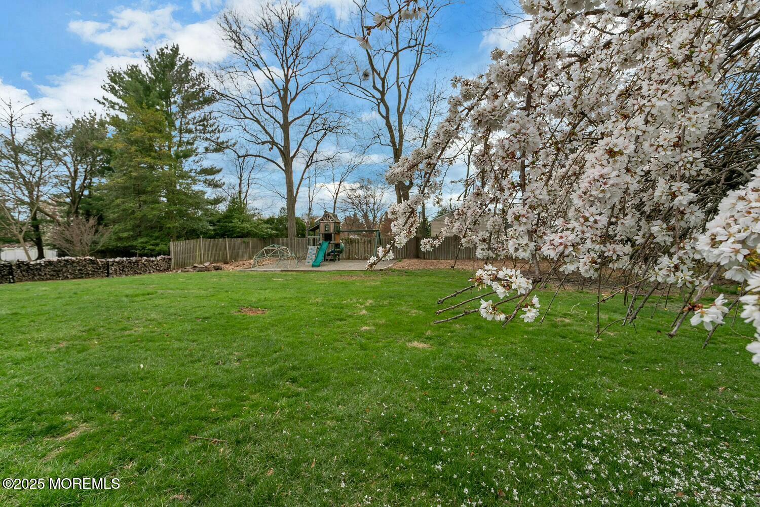 21 Judith Road Little Silver, NJ 07739 - Photo 41 of 48 a view of green field