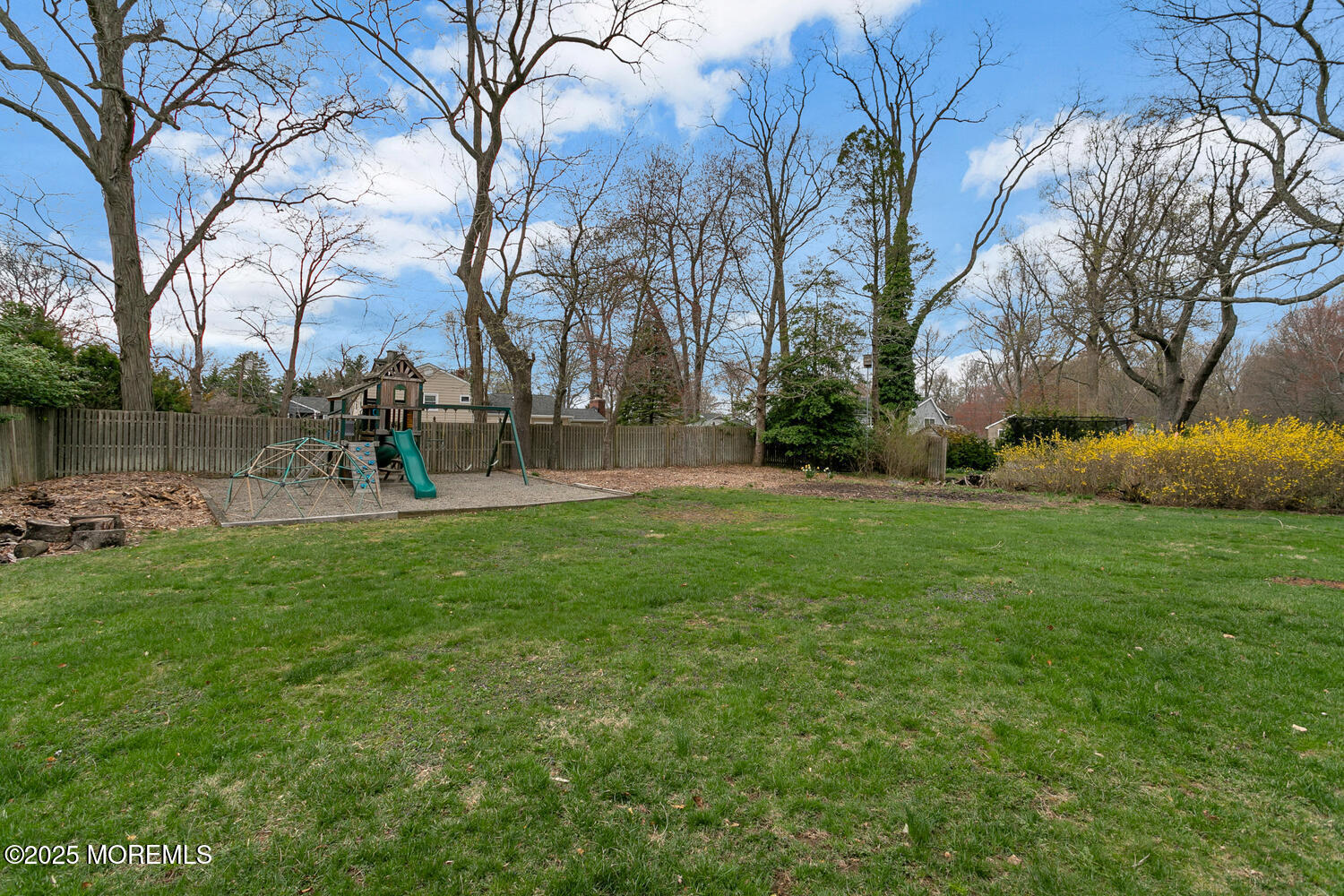 21 Judith Road Little Silver, NJ 07739 - Photo 42 of 48 a view of a park with large trees