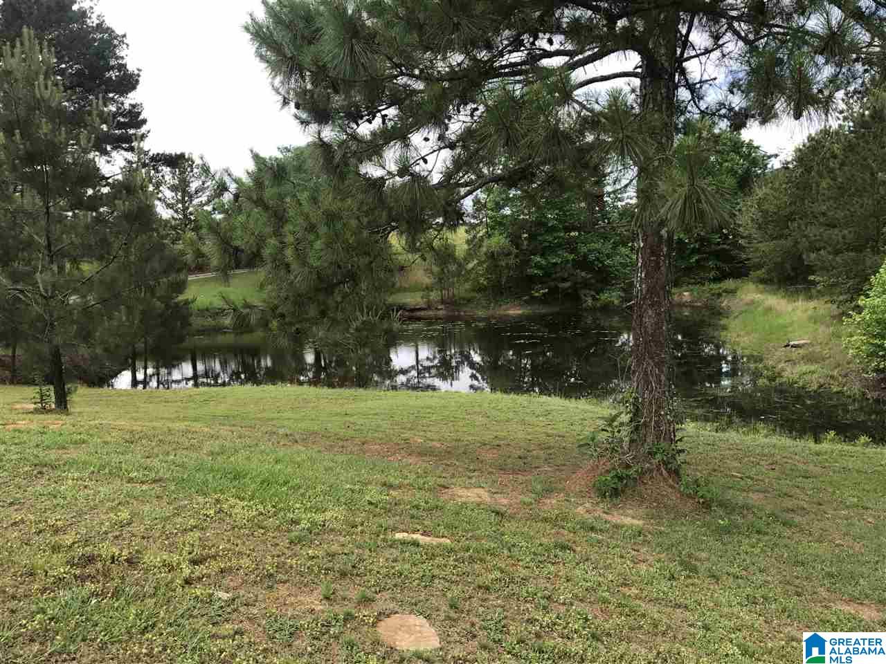 626 Smith Road Oneonta, AL 35121 - Photo 43 of 47