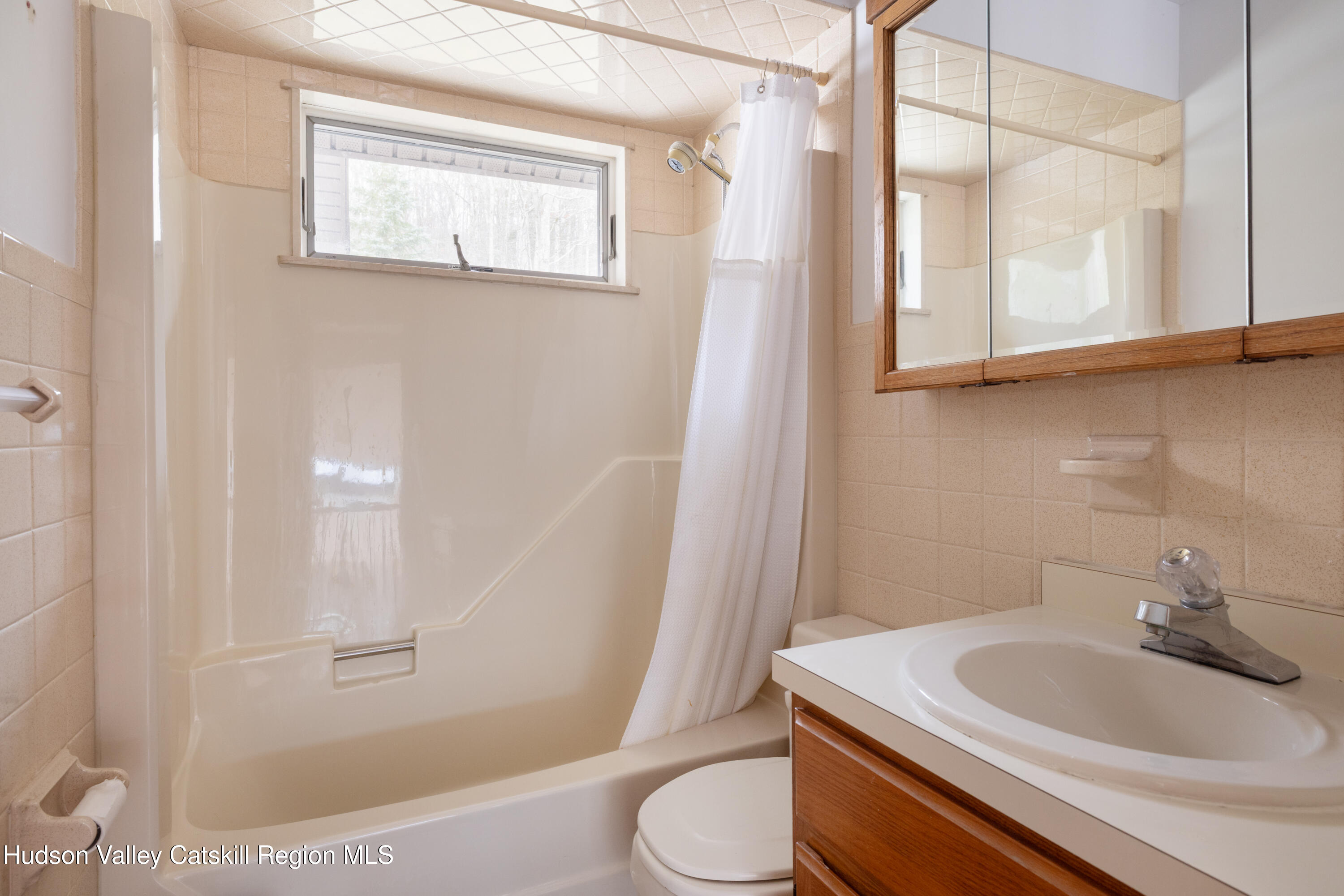 51 Barnum Road Windham, NY 12454 - Photo 29 of 41 a bathroom with a sink a toilet and shower