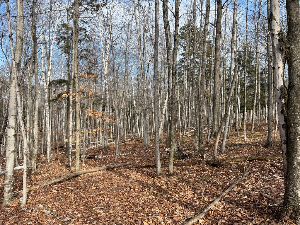 Tbd Jackson Harbor Road Washington Island, WI 54246 - Photo 5 of 6
