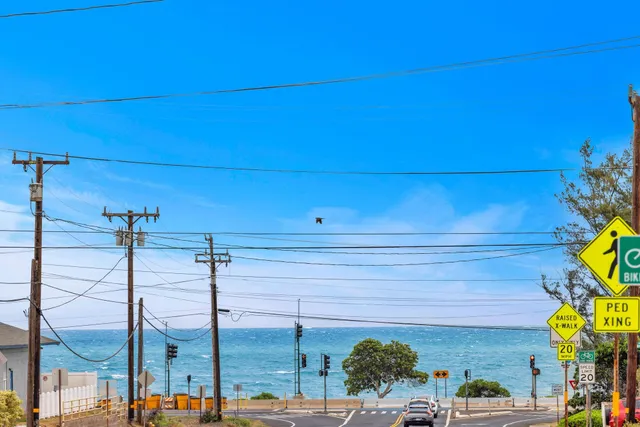 a view of a flower pot