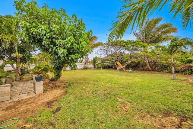 a view of outdoor space with garden