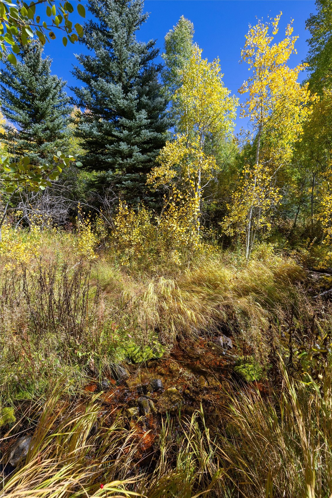 -tbd Frying Pan Road Basalt, CO 81621 - Photo 18 of 35