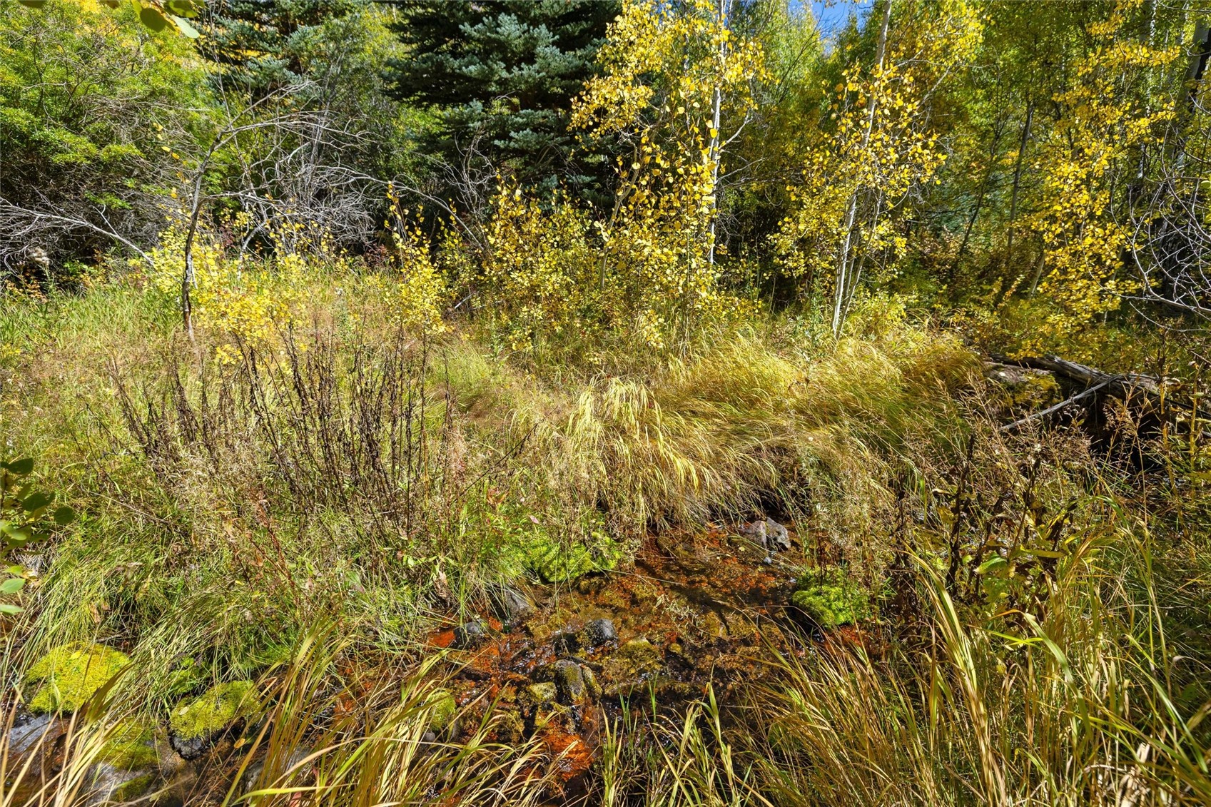 -tbd Frying Pan Road Basalt, CO 81621 - Photo 20 of 35