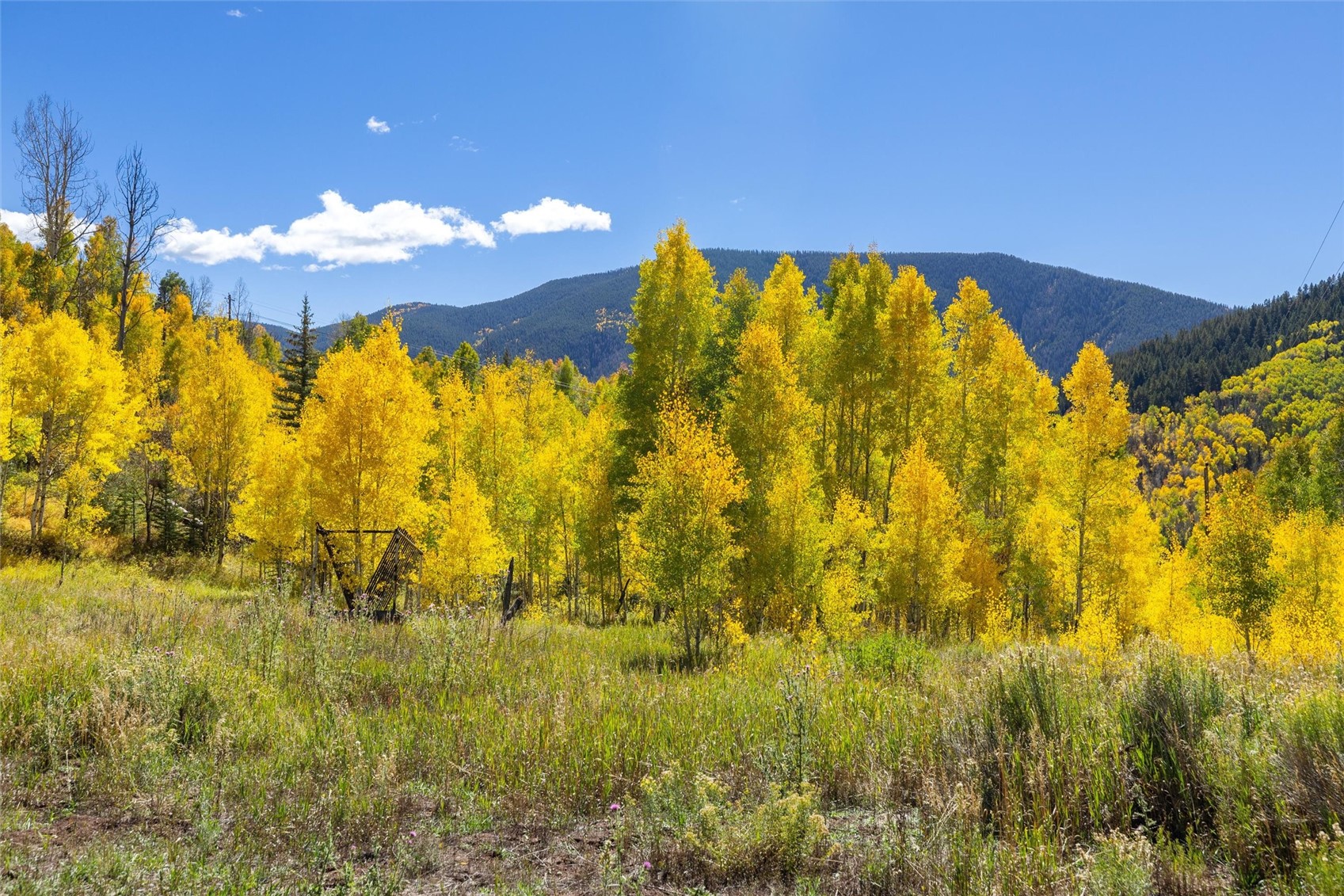 -tbd Frying Pan Road Basalt, CO 81621 - Photo 21 of 35