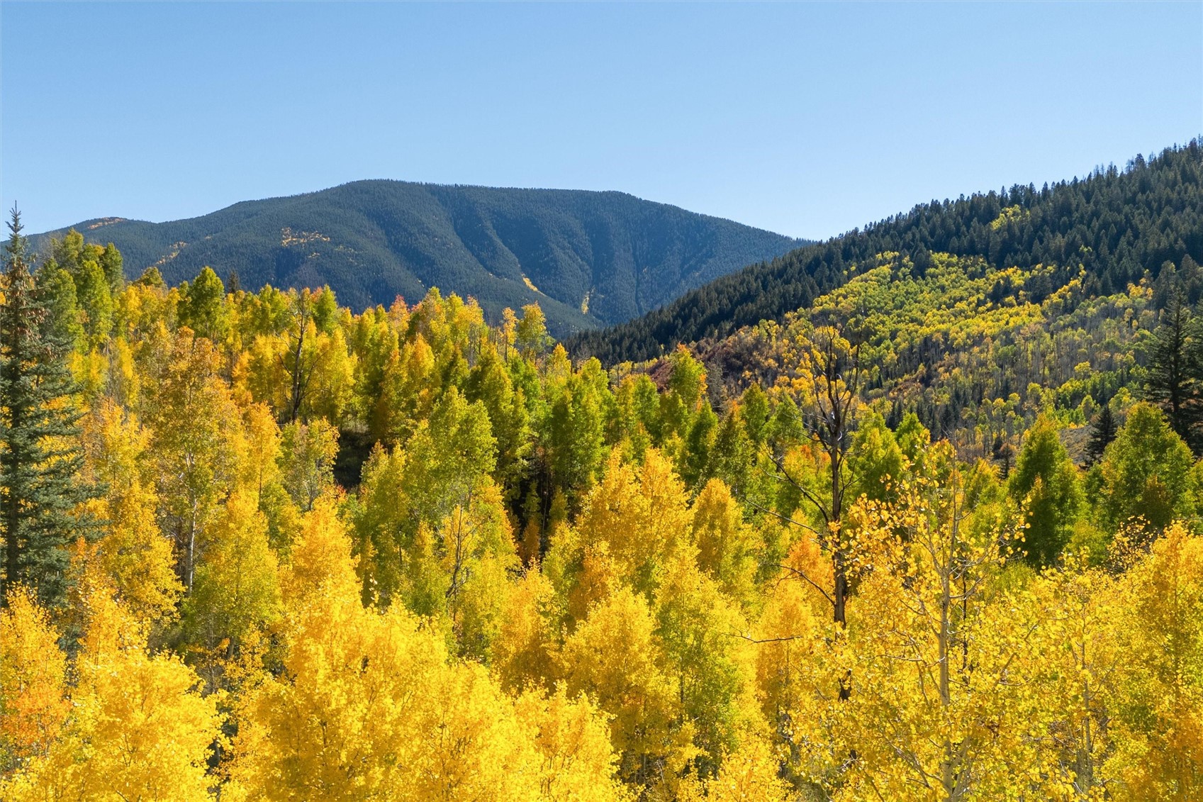 -tbd Frying Pan Road Basalt, CO 81621 - Photo 22 of 35