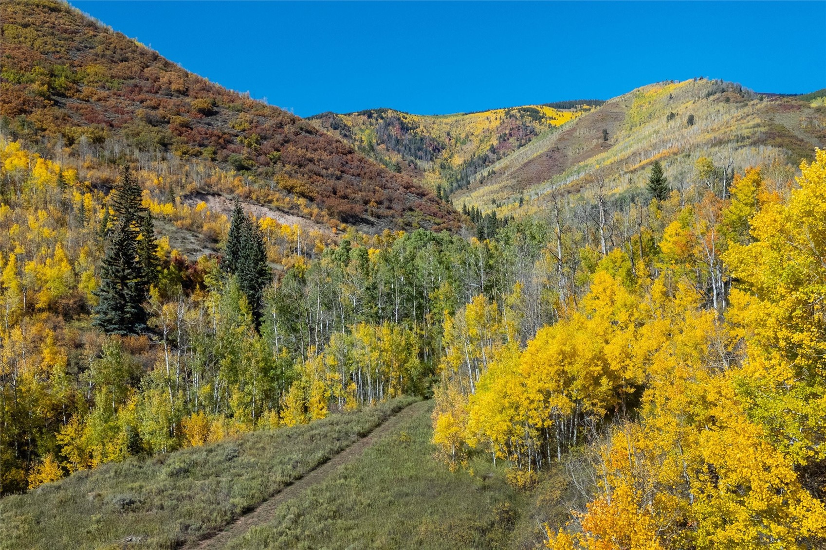 -tbd Frying Pan Road Basalt, CO 81621 - Photo 23 of 35
