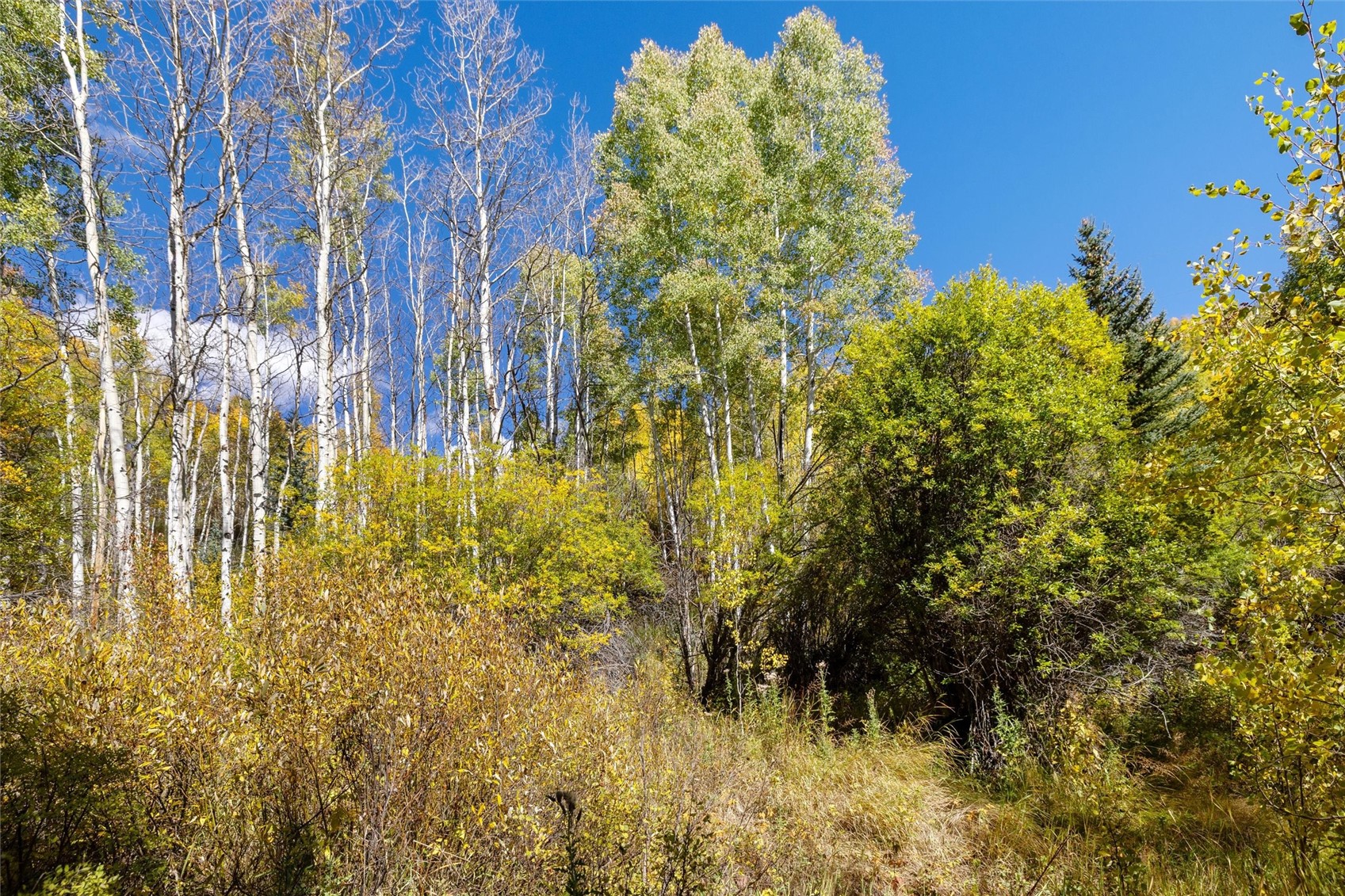 -tbd Frying Pan Road Basalt, CO 81621 - Photo 27 of 35