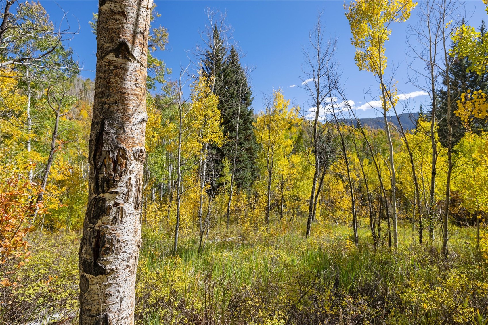-tbd Frying Pan Road Basalt, CO 81621 - Photo 28 of 35