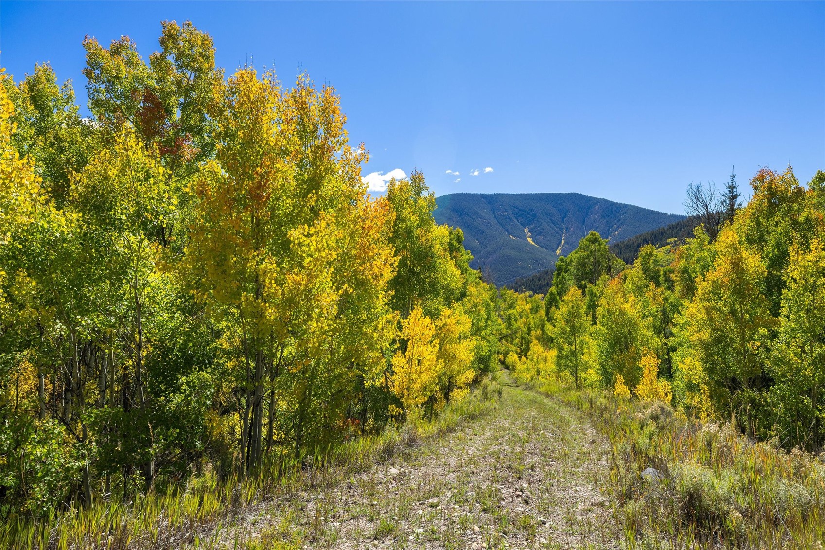 -tbd Frying Pan Road Basalt, CO 81621 - Photo 32 of 35