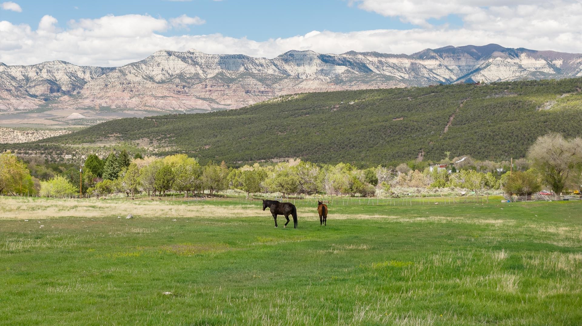 11260 54 7/10 Road Molina, CO 81646 - Photo 23 of 31 a large green field with lots of green space in it