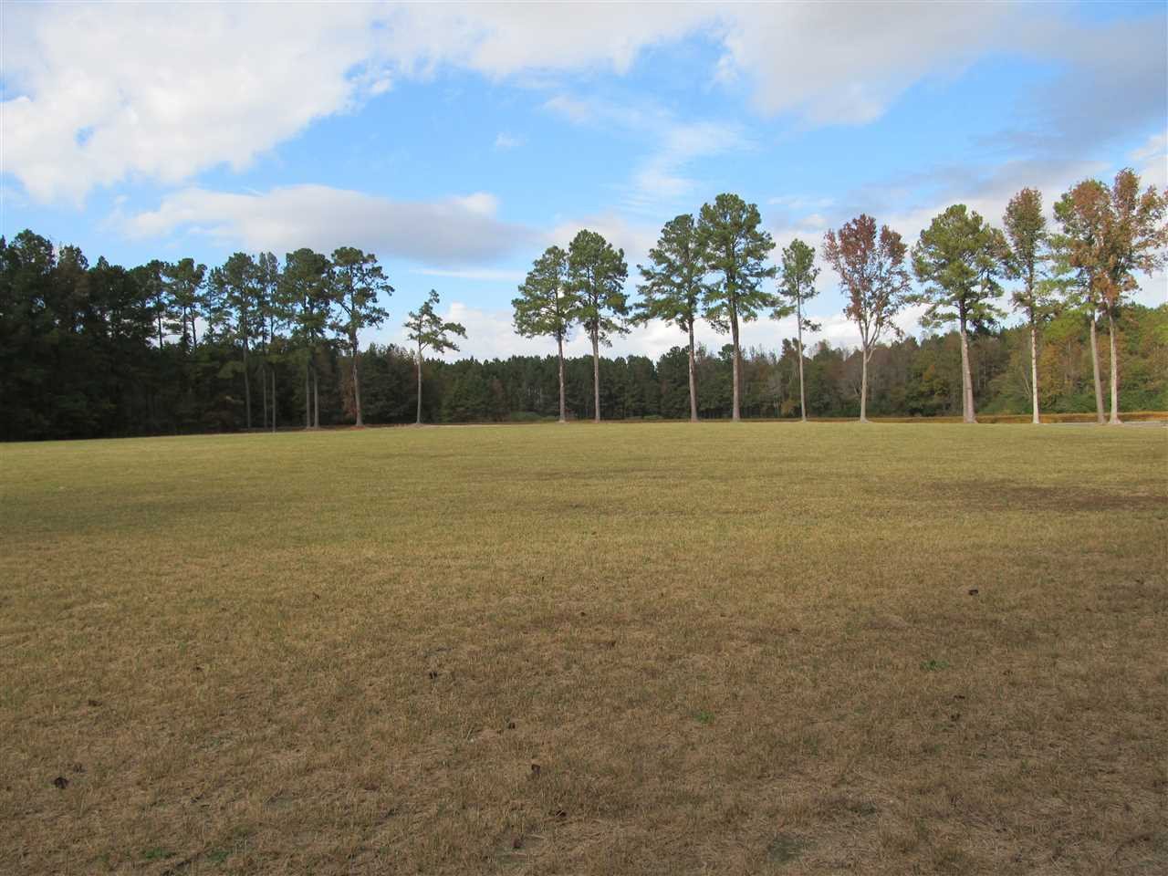 Sheriff Johnson Road Lillington, NC 27546 - Photo 5 of 18 Photo 5