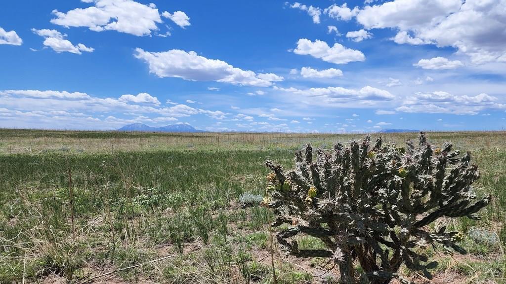 110 County Road 110 Rye, CO 81069 - Photo 35 of 37