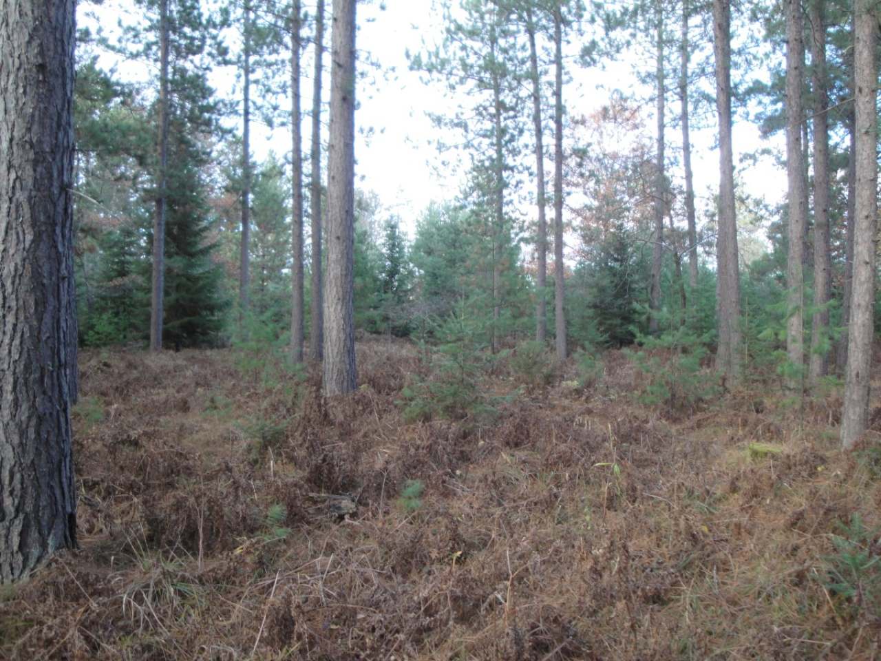 32 Pine Lake Road Rhinelander, WI 54501 - Photo 12 of 16 Gallery Image 12