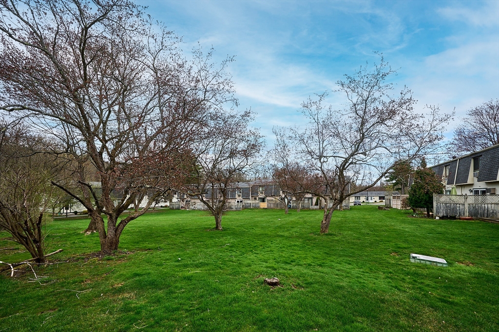 170 East Hadley Road, Unit 124 Amherst, MA 01002 - Photo 19 of 20 a view of park with tree s