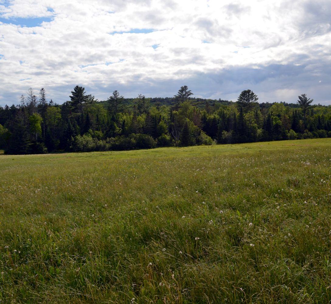 1994 East Ridge Road Athens, ME 04912 - Photo 1 of 8 DSC_1 (2)