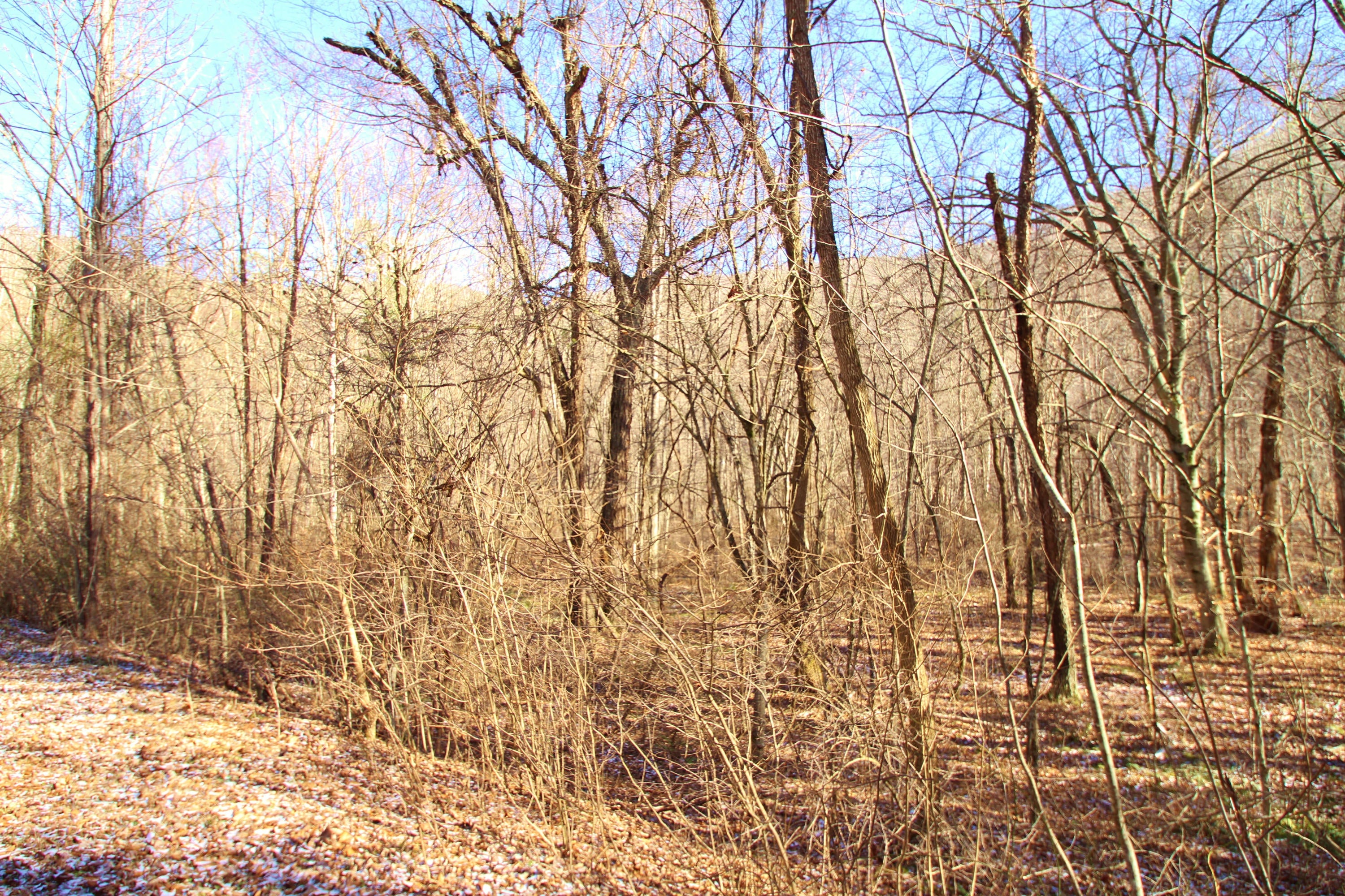 30-2 Co Route Lewisburg, WV 24901 - Photo 16 of 19 Gallery Image 16