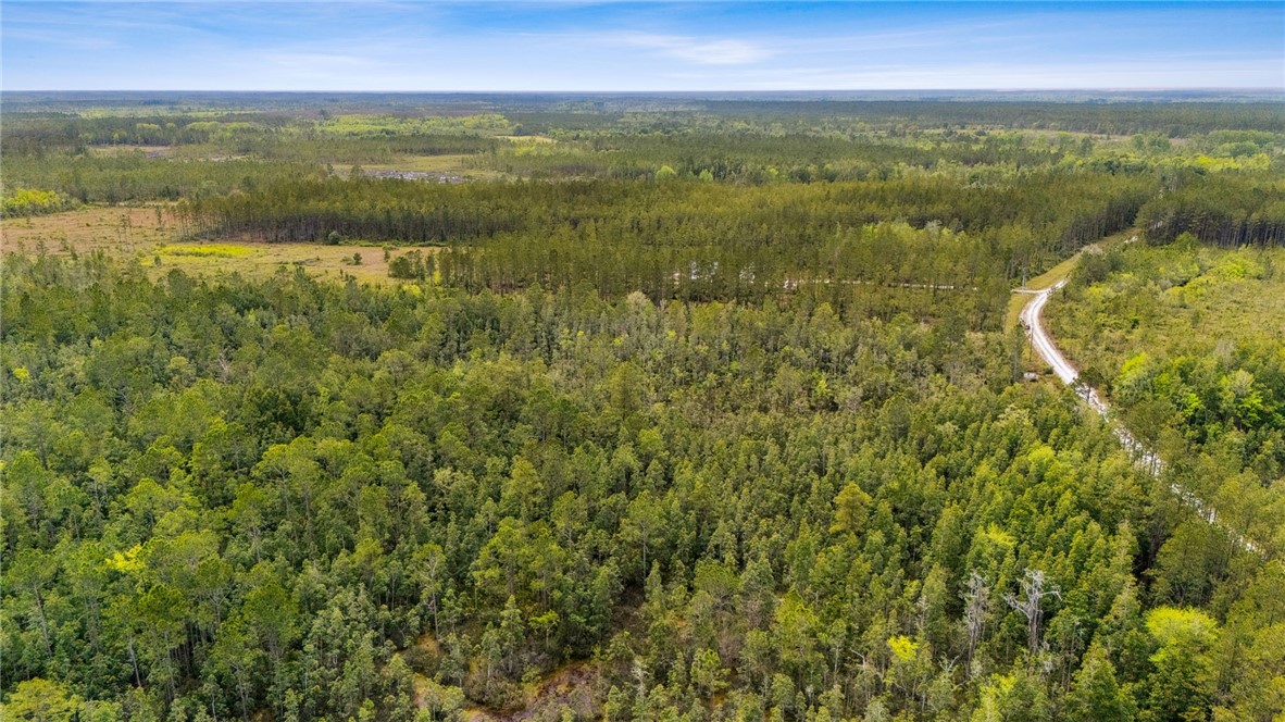 102 Old Reserve Road White Oak, GA 31568 - Photo 11 of 17