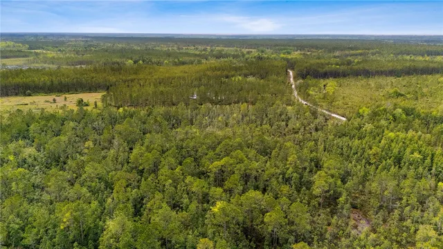 $175,000 | 102 Old Reserve Road, White Oak, GA 31568