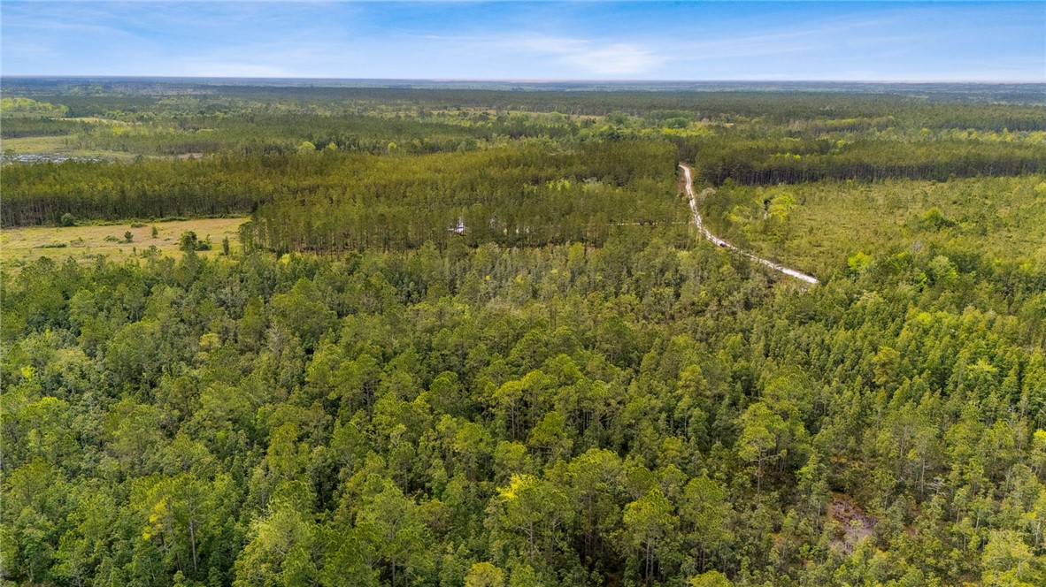 102 Old Reserve Road White Oak, GA 31568 - Photo 12 of 17