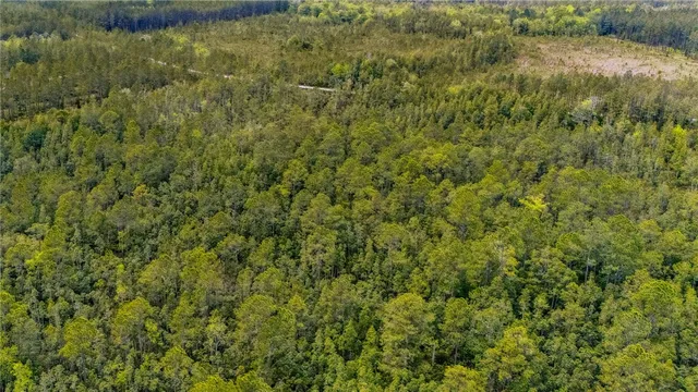 $175,000 | 102 Old Reserve Road, White Oak, GA 31568