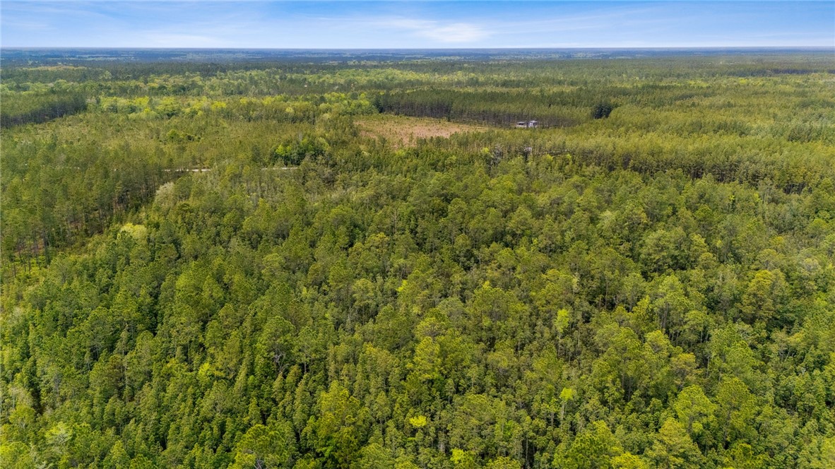 102 Old Reserve Road White Oak, GA 31568 - Photo 14 of 17