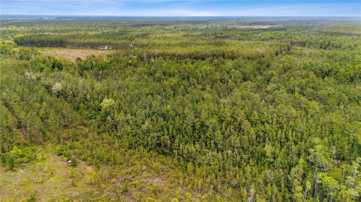 102 Old Reserve Road White Oak, GA 31568 - Photo 15 of 17