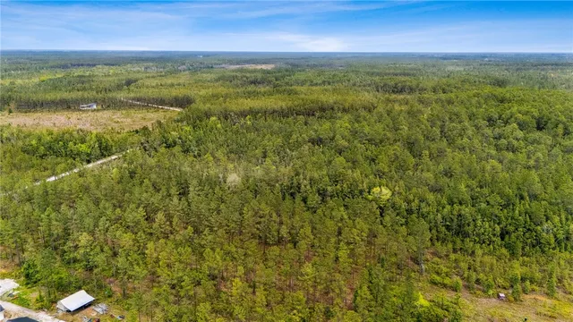 $175,000 | 102 Old Reserve Road, White Oak, GA 31568