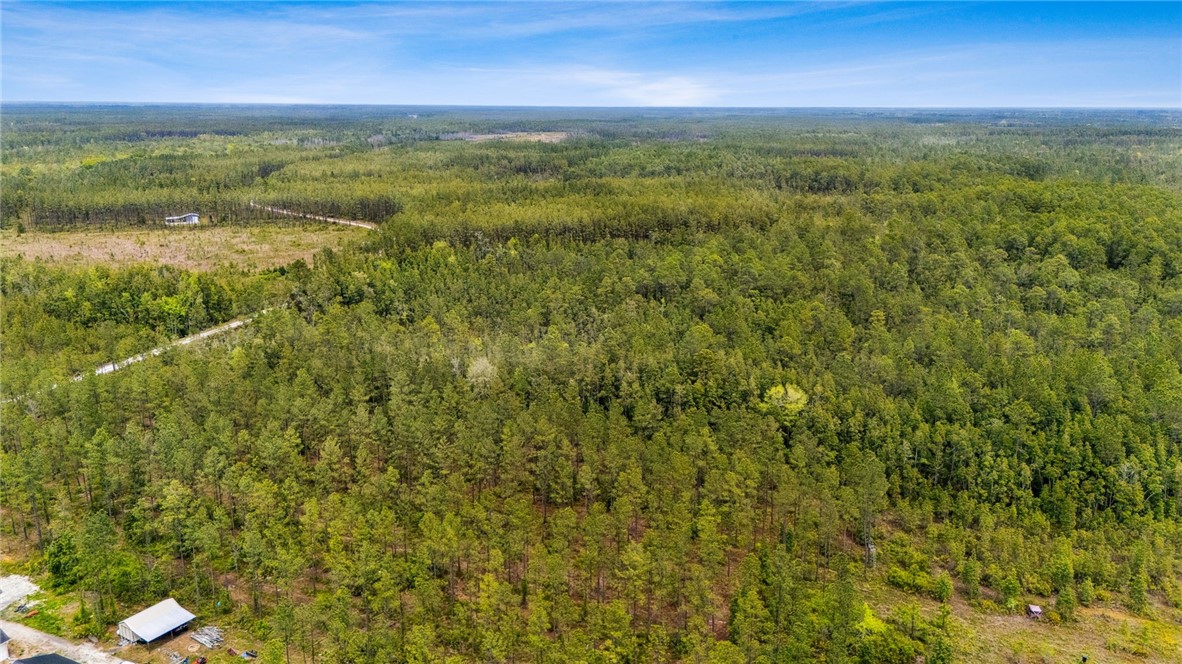 102 Old Reserve Road White Oak, GA 31568 - Photo 16 of 17