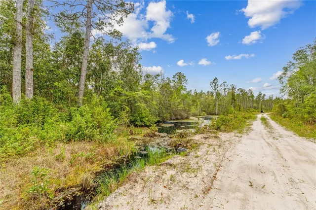 $175,000 | 102 Old Reserve Road, White Oak, GA 31568