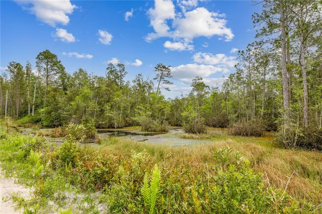 $175,000 | 102 Old Reserve Road, White Oak, GA 31568