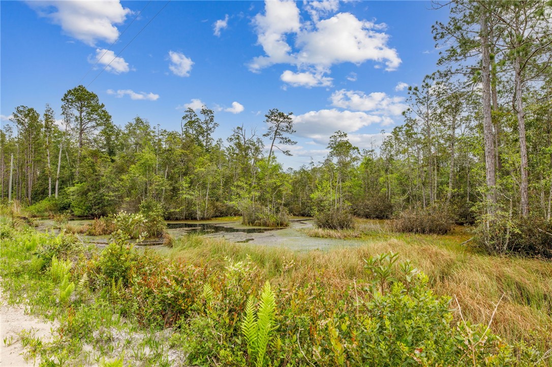 102 Old Reserve Road White Oak, GA 31568 - Photo 6 of 17