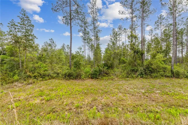 $175,000 | 102 Old Reserve Road, White Oak, GA 31568