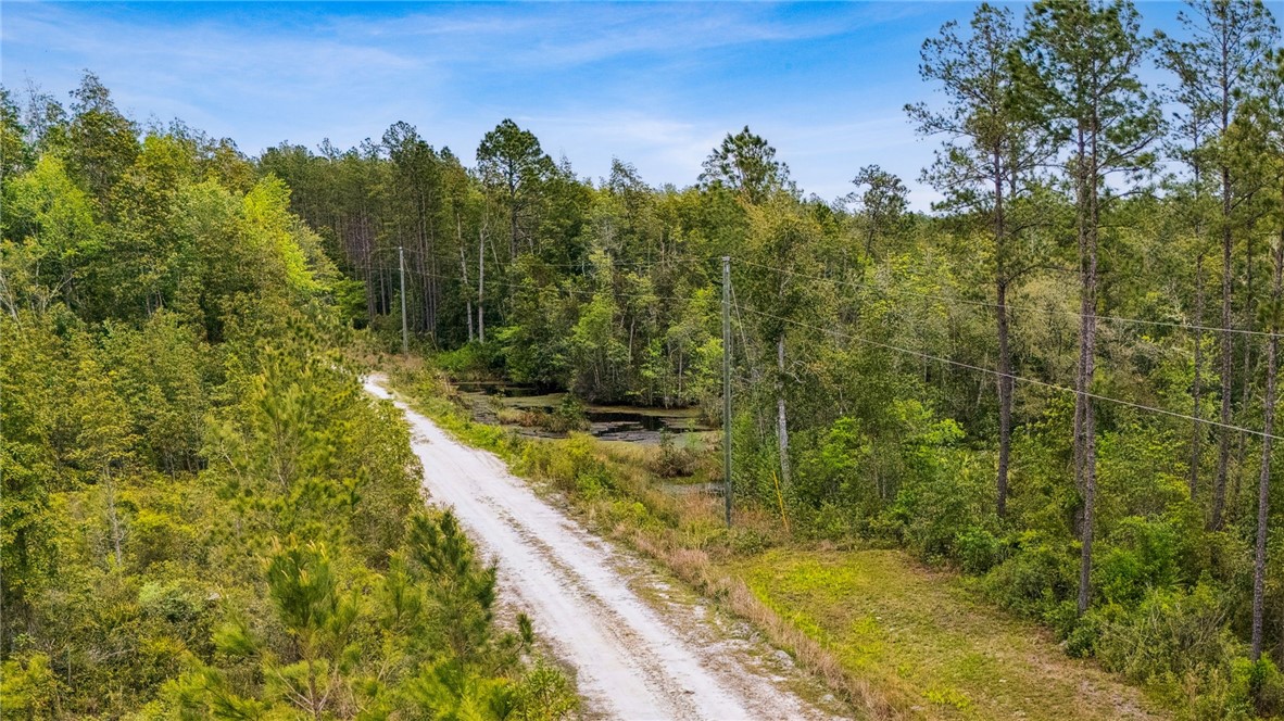 102 Old Reserve Road White Oak, GA 31568 - Photo 8 of 17