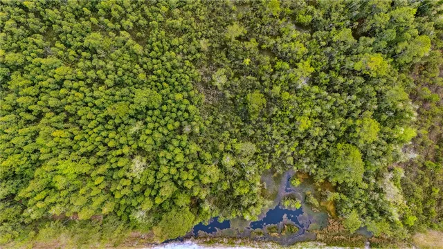 $175,000 | 102 Old Reserve Road, White Oak, GA 31568