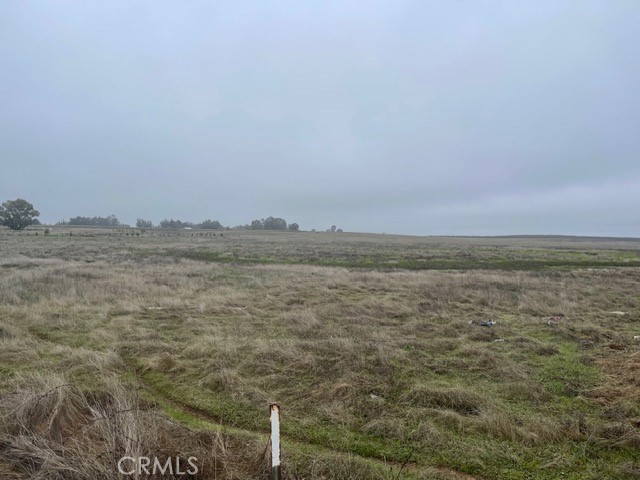 0 Gaylord Avenue Corning, CA 96021 - Photo 5 of 6