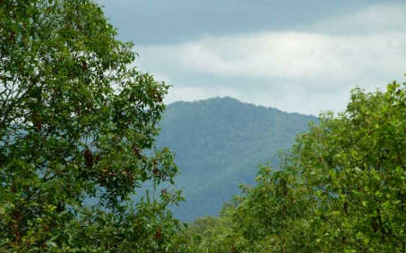 Lot 1 Kontoes Ridge Ellijay, GA 30540 - Photo 1 of 1 Main View