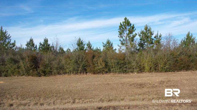 22 Ard Field Road Jay, FL 32565 - Photo 23 of 30