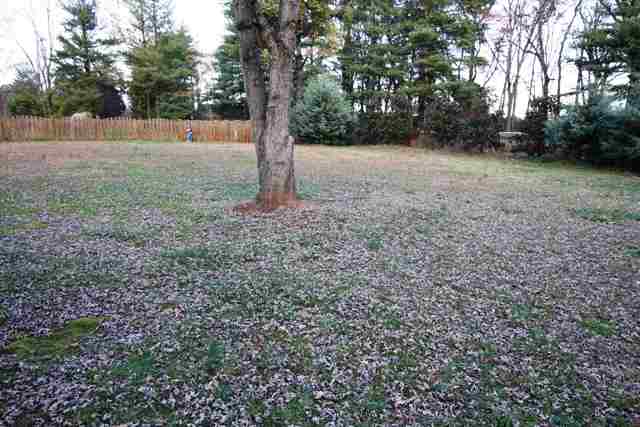 100 Middle Road Greenville, SC 29607 - Photo 4 of 22 Gallery Image 4