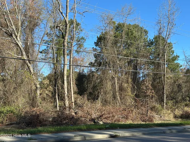 $50,000 | 1507 North Berkeley Boulevard, Goldsboro, NC 27534