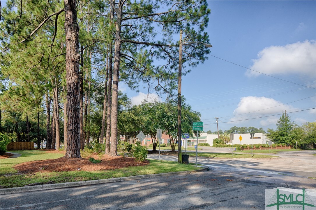 101 Brandywine Road Savannah, GA 31405 - Photo 28 of 30