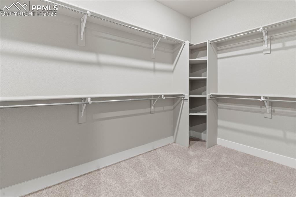 2155 Coyote Mint Drive Monument, CO 80132 - Photo 28 of 45 a view of an empty walk in closet