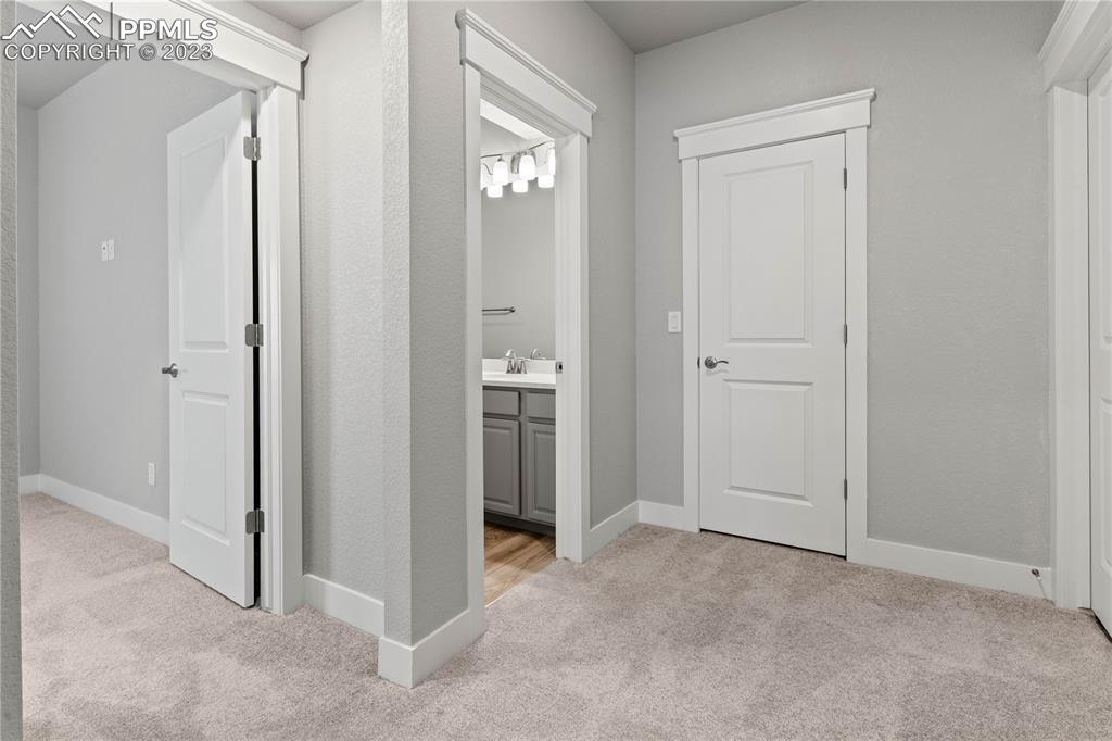 2155 Coyote Mint Drive Monument, CO 80132 - Photo 40 of 45 an empty room with windows