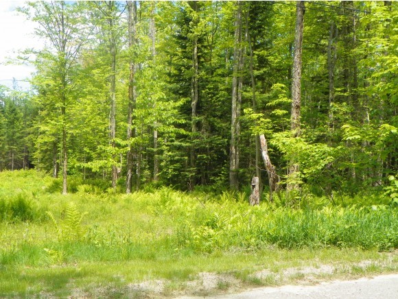 Lot #3 The Birches Road Sugar Hill, NH 03586 - Photo 2 of 13 Gallery Image 2