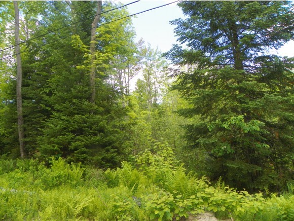 Lot #3 The Birches Road Sugar Hill, NH 03586 - Photo 7 of 13 Gallery Image 7