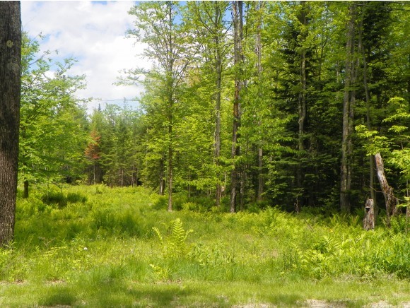 Lot #3 The Birches Road Sugar Hill, NH 03586 - Photo 9 of 13 Gallery Image 9