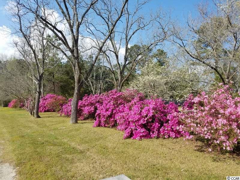 1055 Cane Branch Road Loris, SC 29569 - Photo 11 of 30 Gallery Image 11