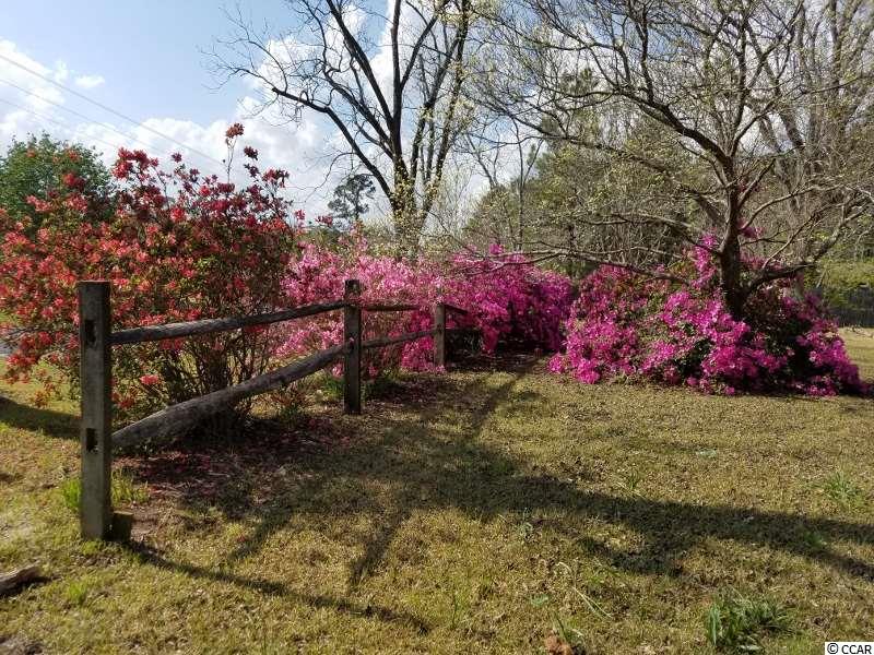 1055 Cane Branch Road Loris, SC 29569 - Photo 12 of 30 Gallery Image 12